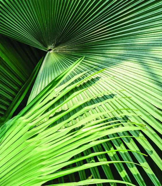 Jardines tropicales, Villas Poseidonia
