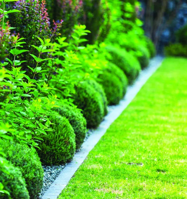 Jardines paisajísticos de Villas Poseidonia
